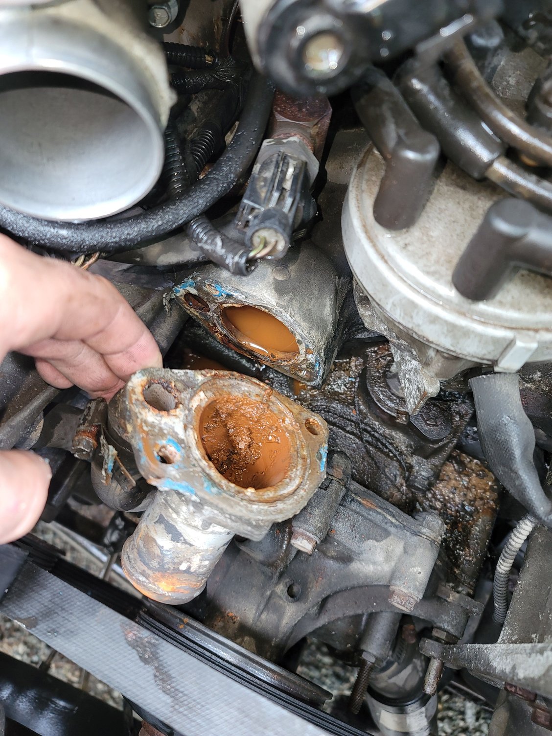 Radiator Replacement Gone Wrong Ford Truck Enthusiasts Forums