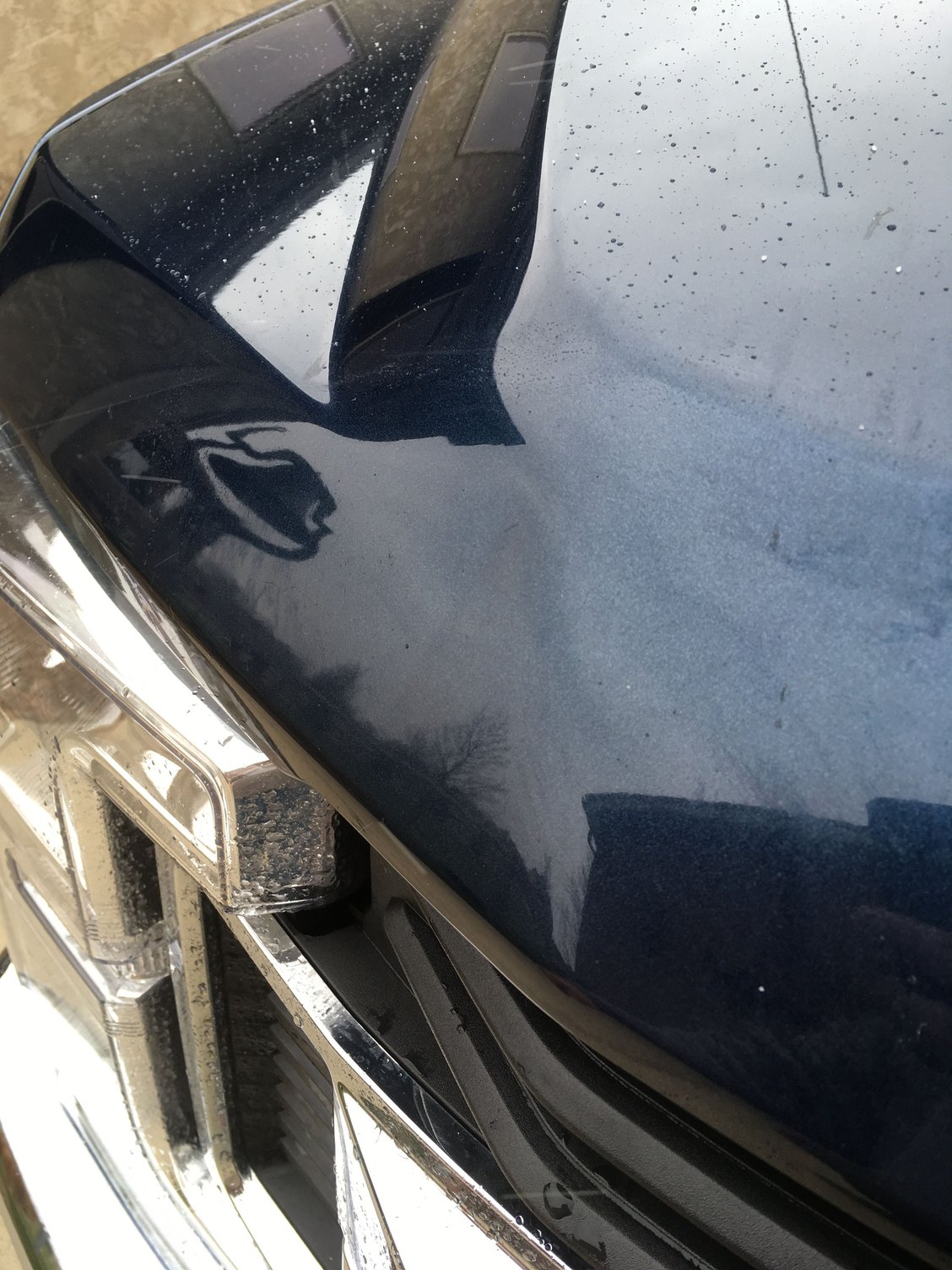 Dent removal in hood? Ford Truck Enthusiasts Forums