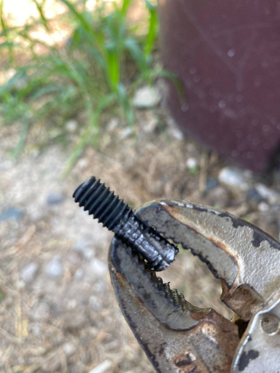 water pump f150 5.0 Ford Truck Enthusiasts Forums