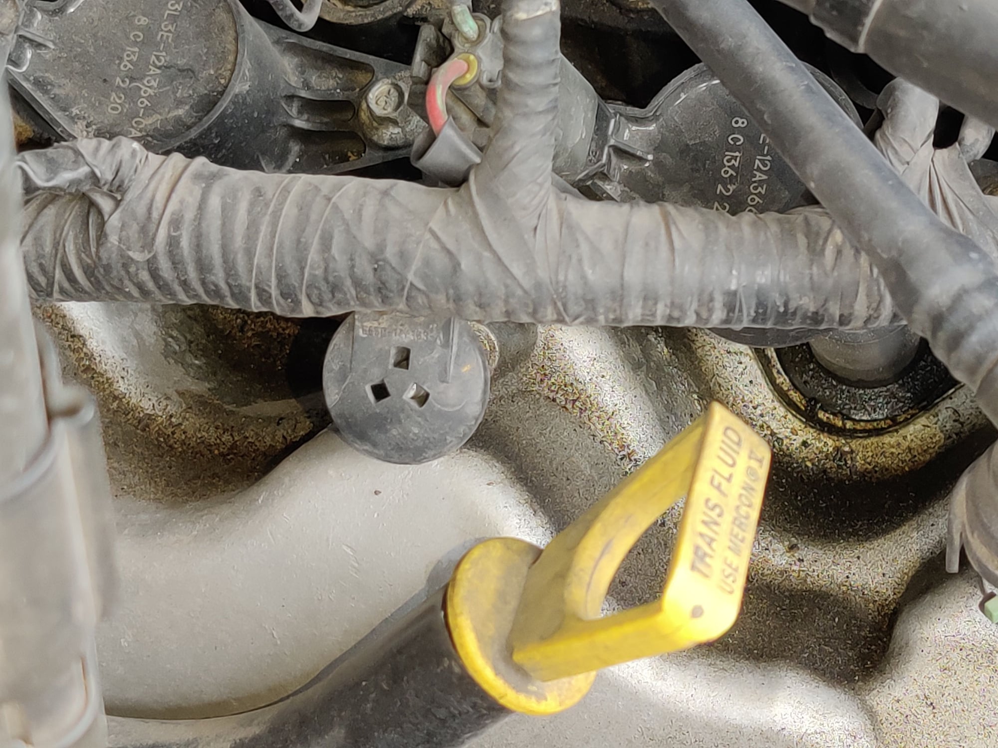 Another oil leak question on the 99 5.4/ 2 valve Ford Truck Enthusiasts Forums