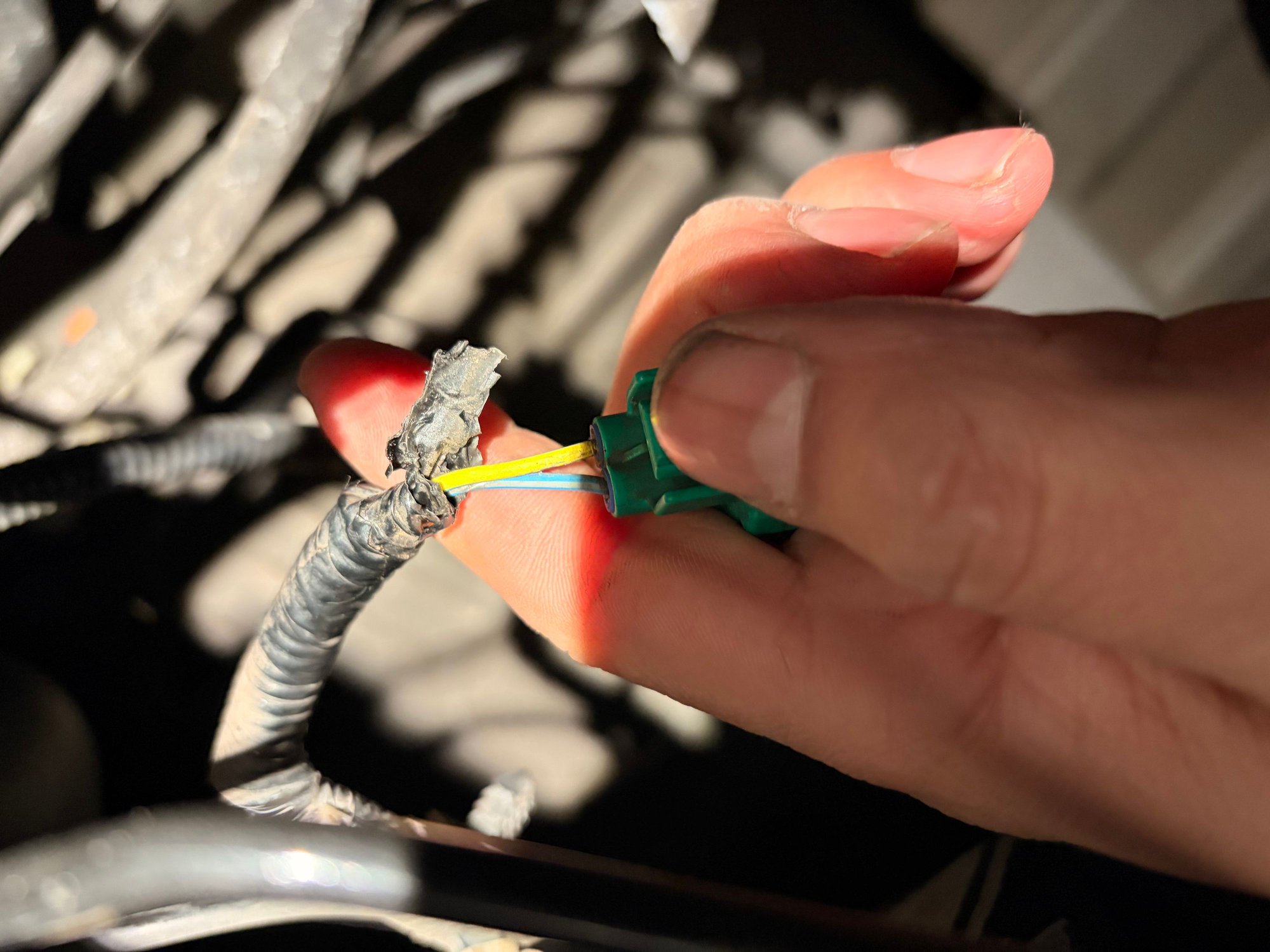 Hot yellow, Ground Blue