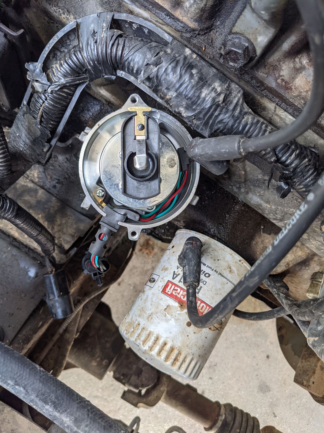 new distributor Ford Truck Enthusiasts Forums