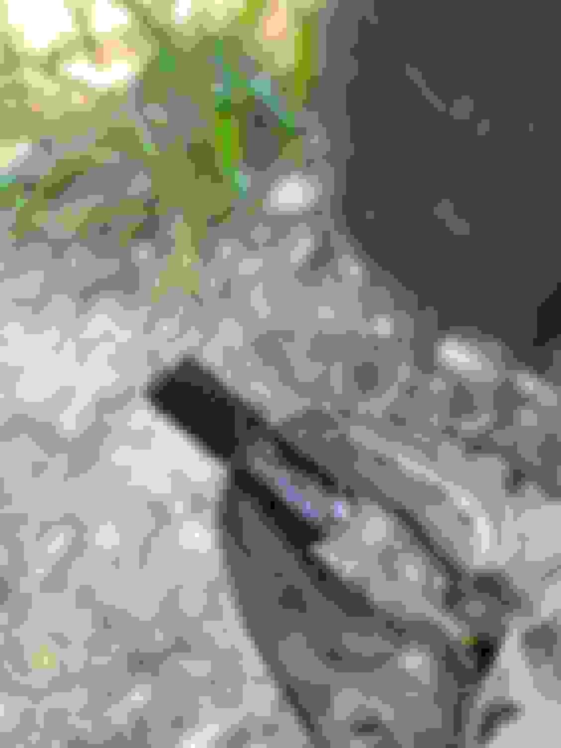 water pump f150 5.0 Ford Truck Enthusiasts Forums