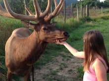 My daughter and Chickenfoot the Elk.