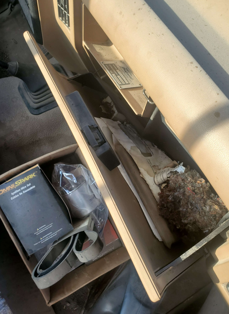 Mice got to her, no wiring gone that I know of yet.