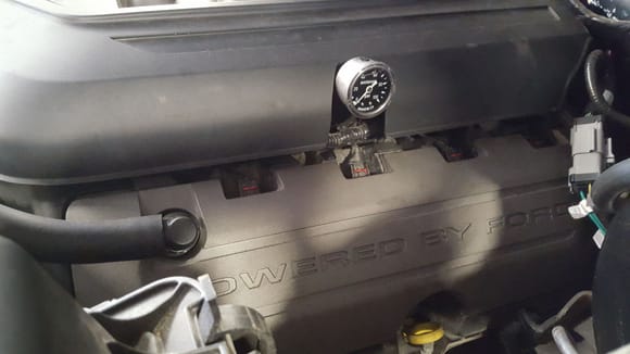 5.0 coyote installed, intake cover cut to allow fuel pressure gauge to stick through