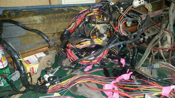 The old gasser wiring harness, Pic taken after I had pulled a wire out of it to replace the hacked together wire on the diesel harness..
