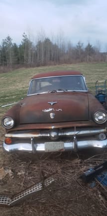 53 Customline chilling. has a flathead and overdrive unit. doesnt move much.