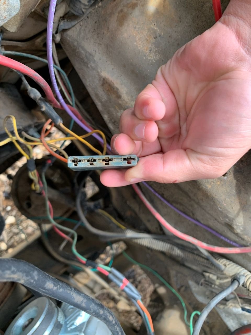 New wire harness wiring - Ford Truck Enthusiasts Forums