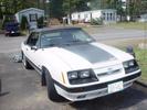 1986 GT Mustang 5.0
