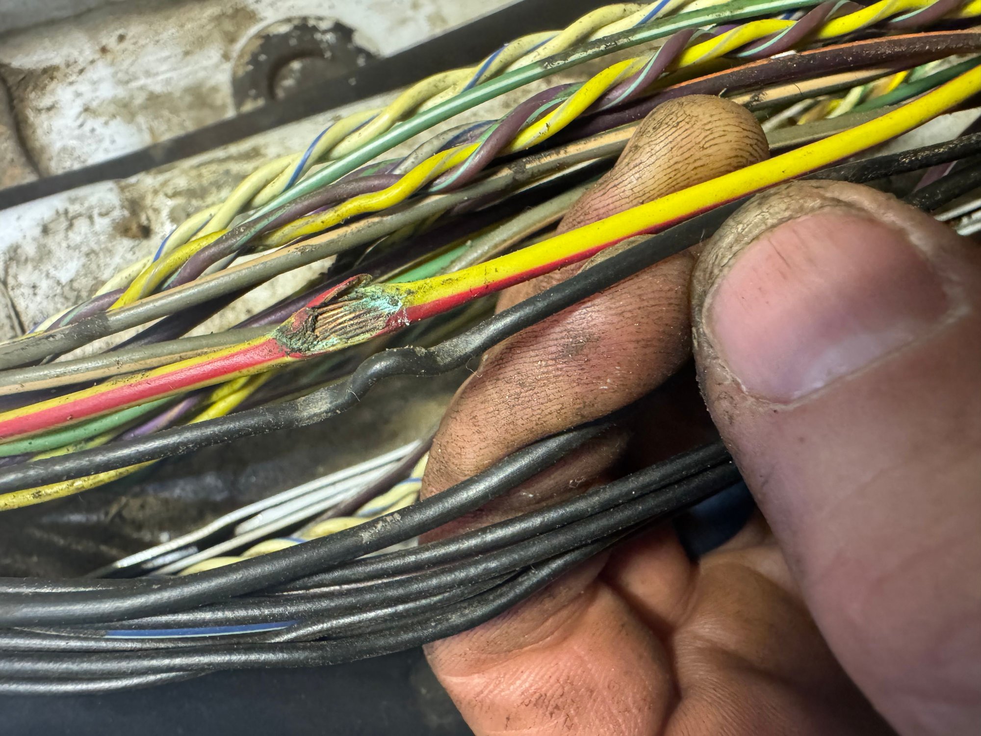 As you can see these other wires around it, we�re also damaged maybe not to the point of the red wire, but they were also smashed and kinked