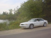 car n bushes