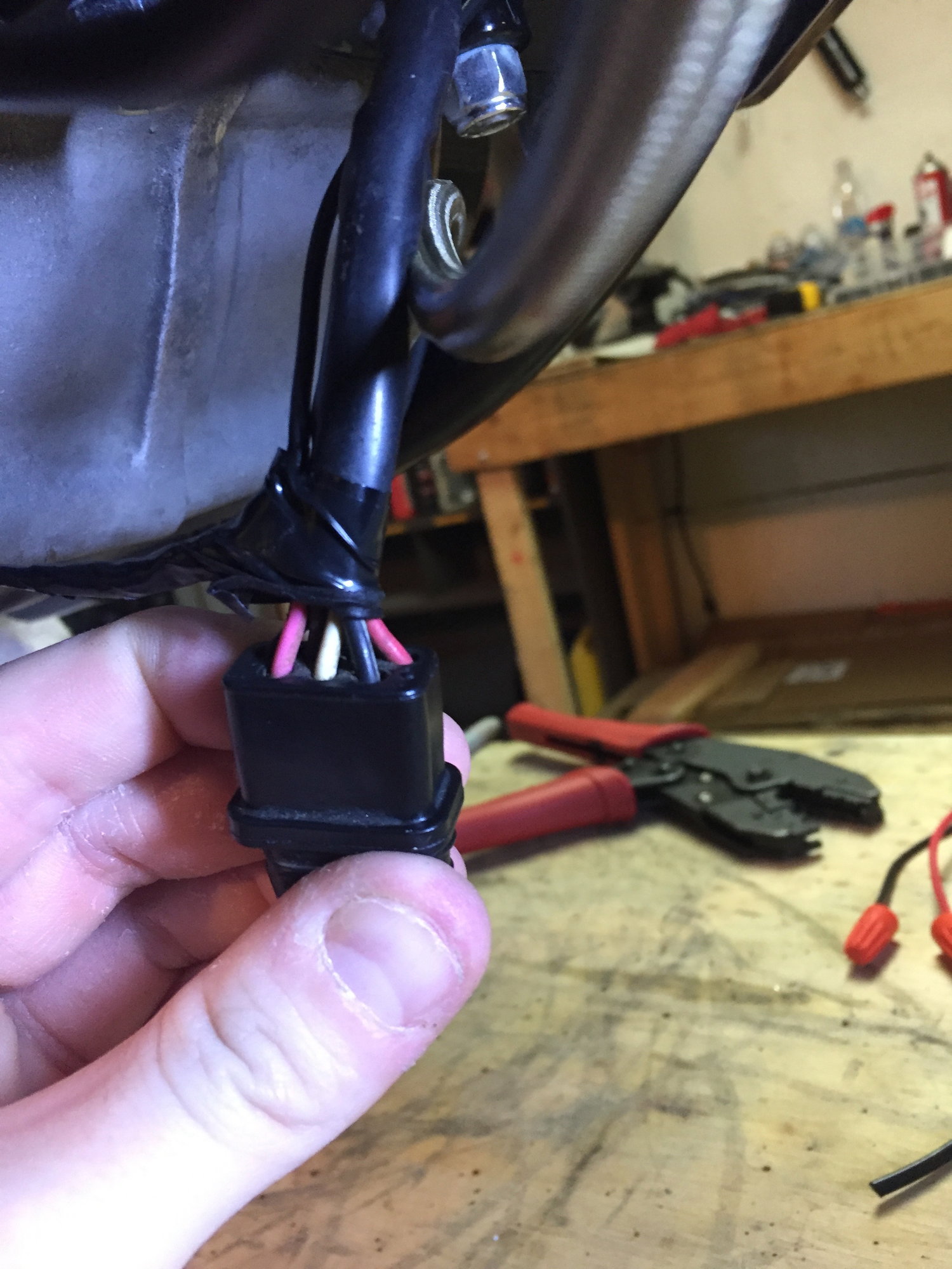 Coil Wiring Which Side Pink Wire Harley Davidson Forums