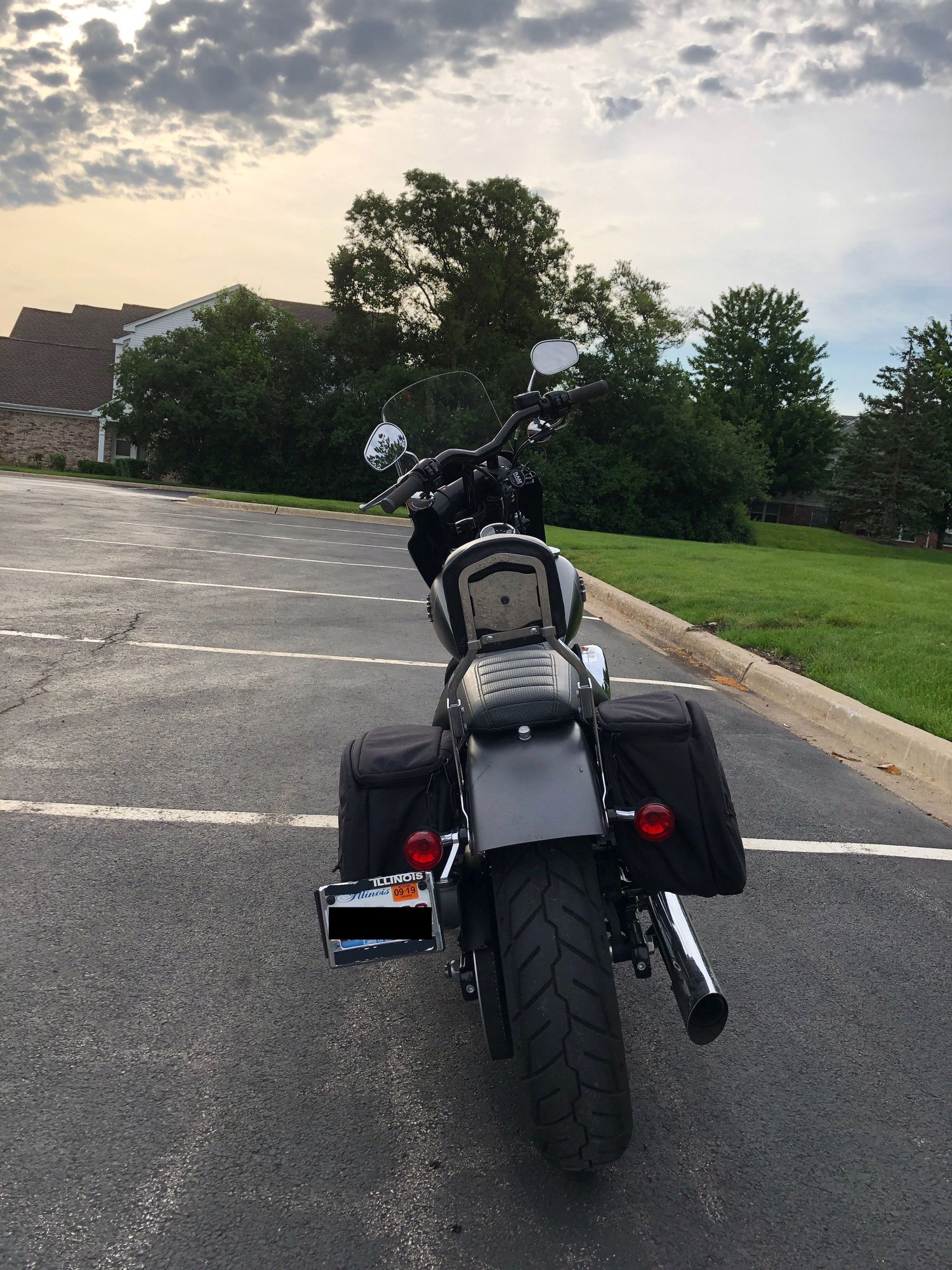 saddlebags for 2019 street bob