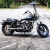 2006 dyna