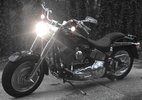 HARLEYFORUM