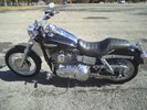 harley pics
