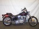 Softail Darwinism