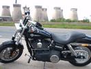 Fat Bob