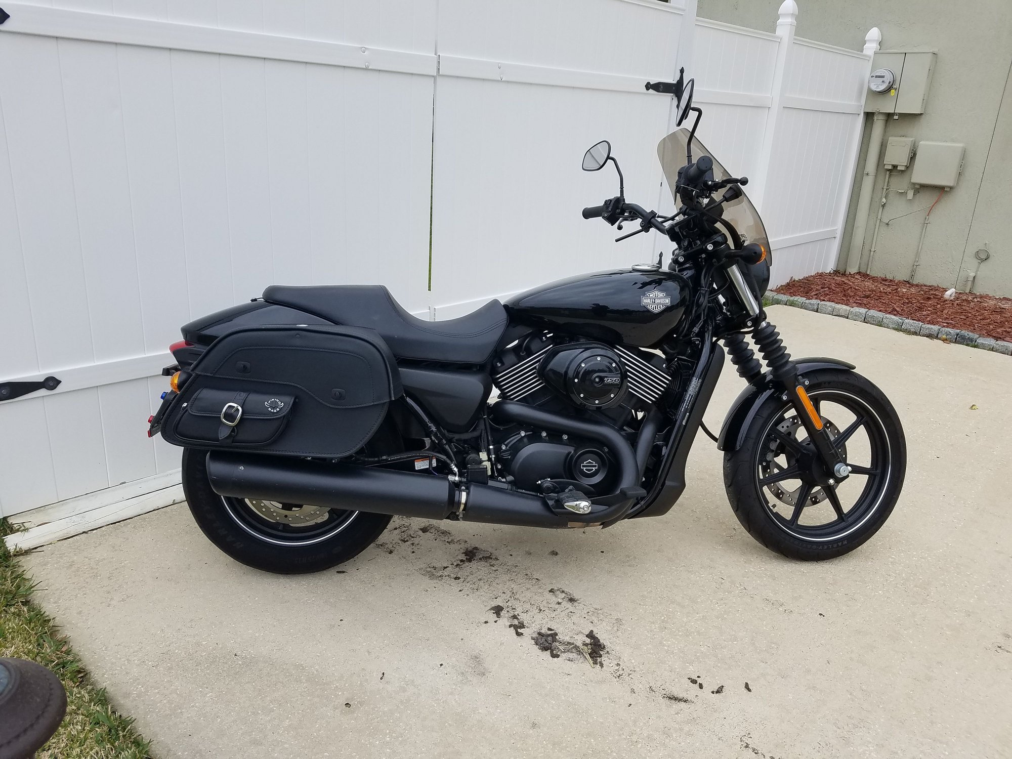 harley davidson xg750 for sale