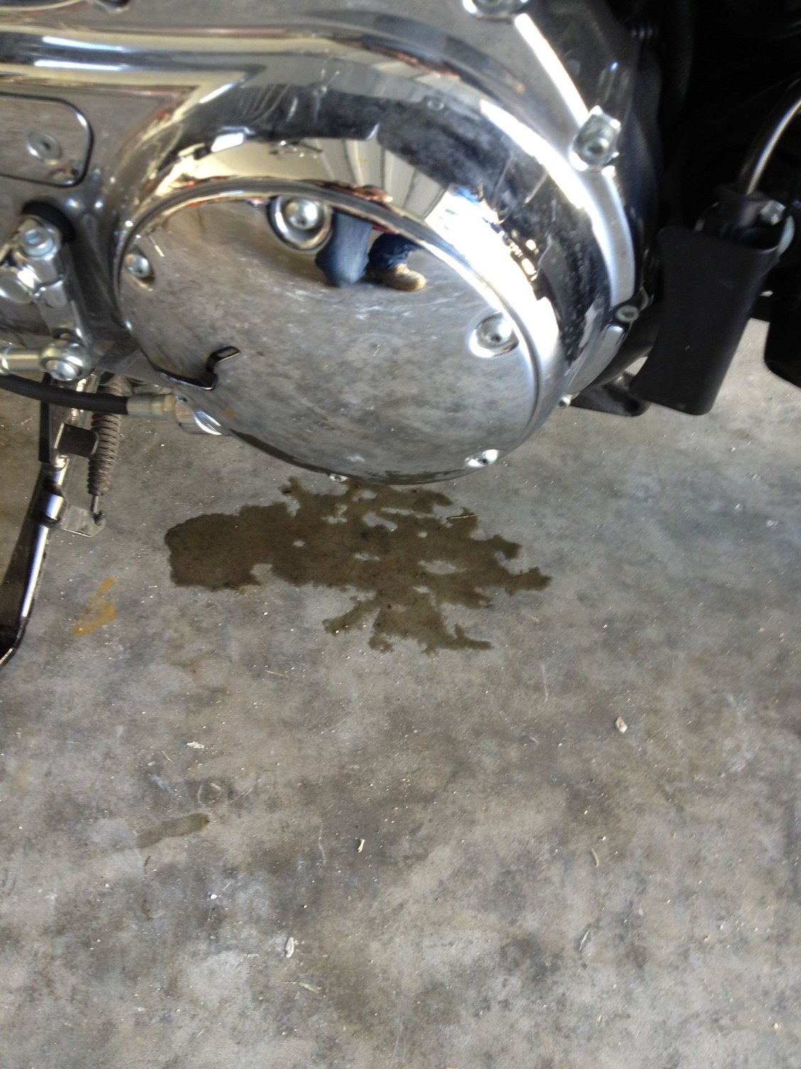 Oil Leak Harley Davidson Forums