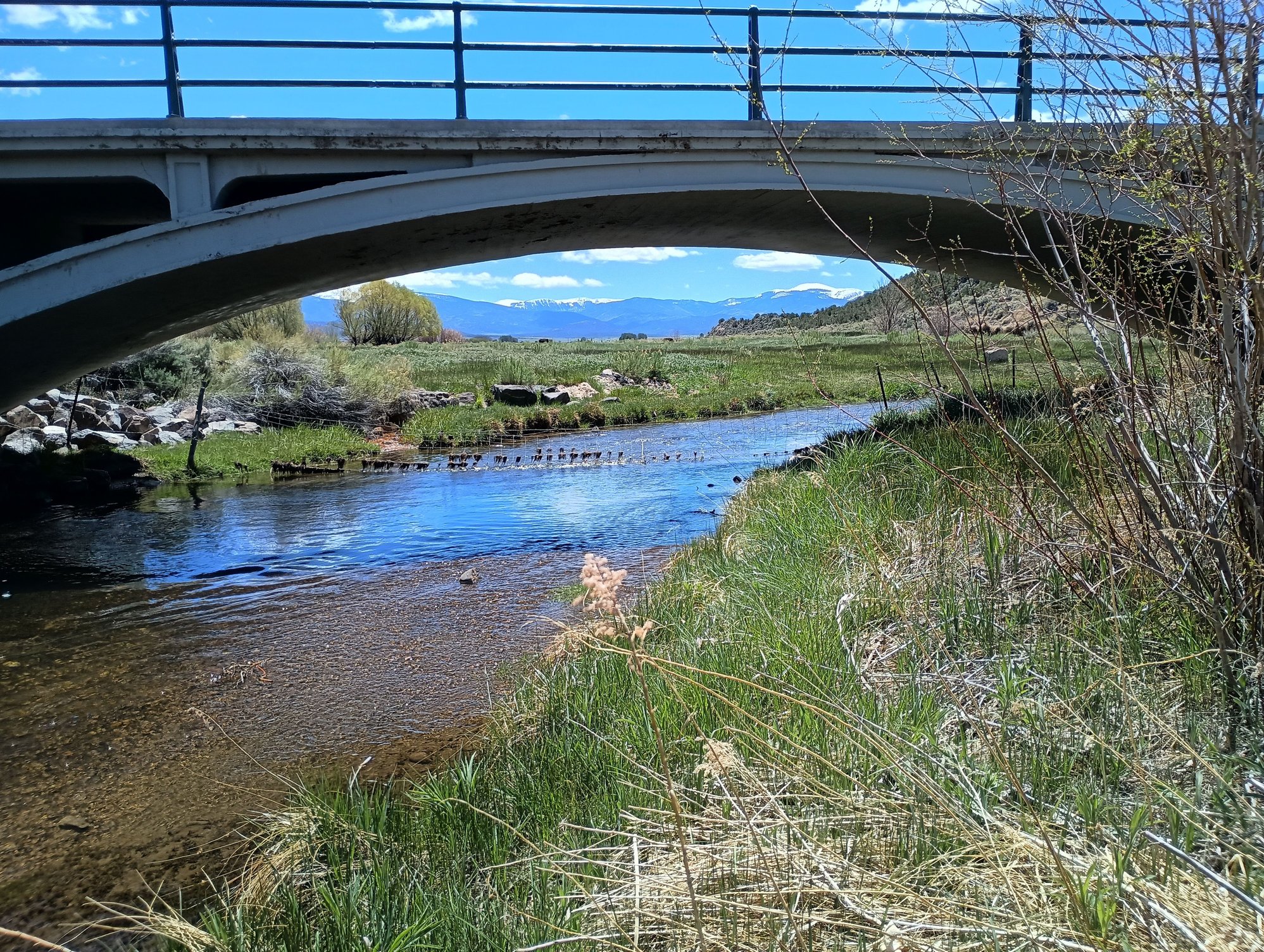 Just a quiet creek. I like the bridge and the snow covered mountains behind it.