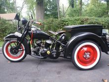 My other black springer