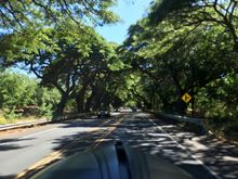 Upcountry (my fav area in HA to ride)