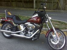 2009 Custom