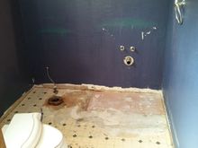 Gutted the bathroom.