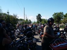 Another of the lined up bikes.