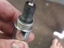 rear plug