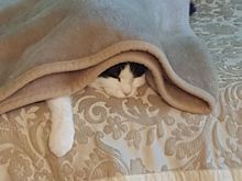 Bikes, Bikes, Bikes, all you guys talk about is bikes! Get a life.