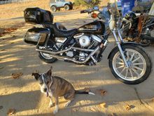 My 650lb bagger. So much more fun to ride than an old people's Harley....