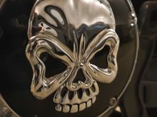 Closeup Skull