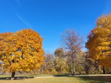 The colors at lock and dam 13 were blazing. 