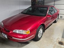 Untitled Album 2026-03-19 08:06:53