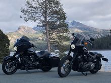  Current streetbob