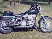 '96 FXD DynaGlide New from Gold Coast Harley Davidson Southport QLD.
