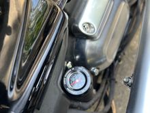 Oil Temp Guage