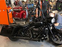 Harley brawler solo seat