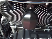 Plasti-Dipped horn cover.