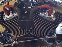 Changing to black shortly