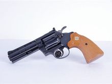 this one is chambered for 22