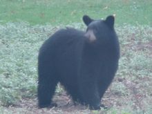 Untitled Album 2014-12-02 20:01:52