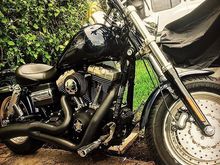 2008 FXDF "El Gordo"