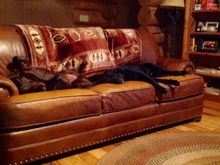 The youngsters keeping an eye on the cabin, meanwhile