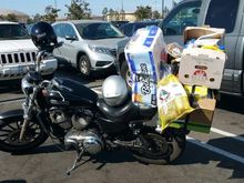 2007 XL1200L Just a little shopping at Costco. When I pushed my full cart up to my motorcycle, I overheard two guys saying that there was no way that I could get all my stuff on my motorcycle. I bet them each $10.00 and I made an easy $20.00 on that bet.  ;^)