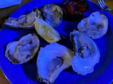 Oysters