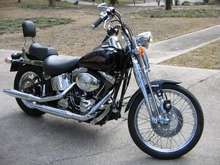 George's 2000 Springer